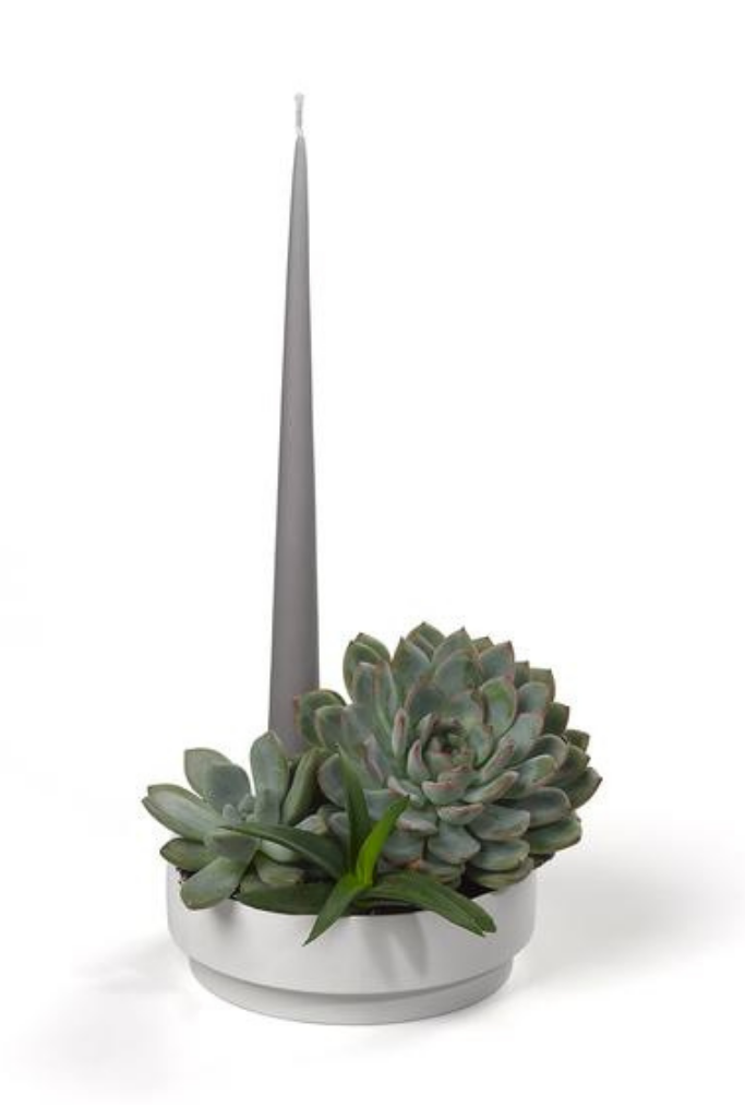 Matte Clay | Succulent Planter & Candle Holder (6722451865663)