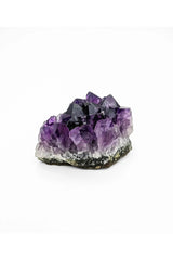 Amethyst Cluster - Livewell  (6603123392575)